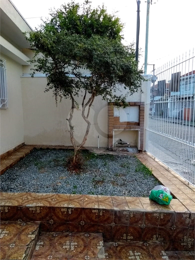 Foto REO1010658