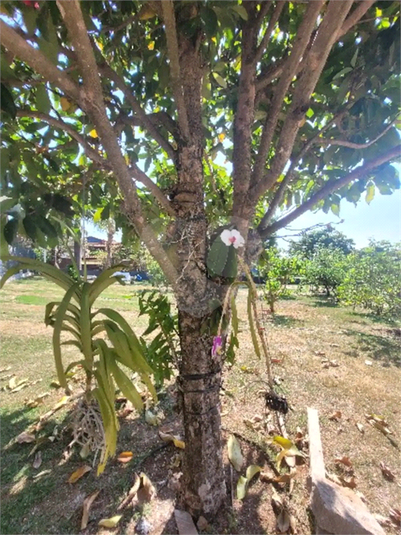 Venda Condomínio Itupeva Jardim Do Ribeirão Ii REO1012381 39