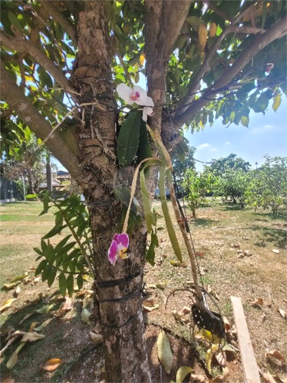 Venda Condomínio Itupeva Jardim Do Ribeirão Ii REO1012381 34