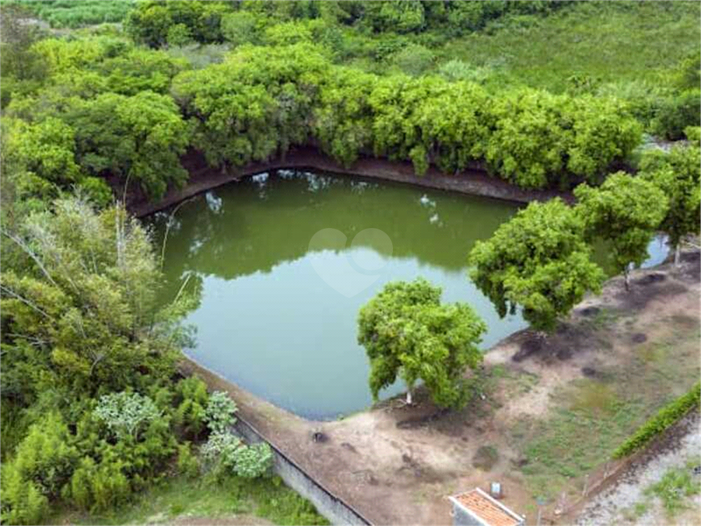 Venda Sítio Araras Área Rural De Araras REO1012445 30