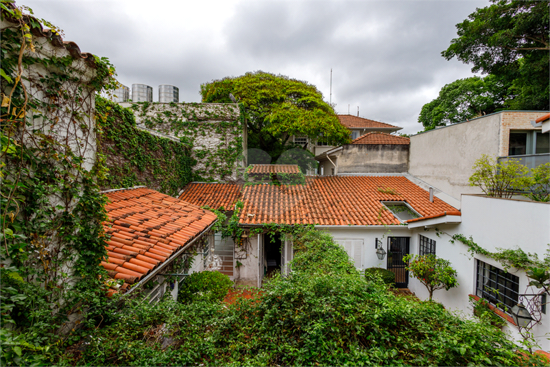 Foto REO1012639