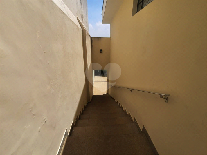 Foto REO1012740