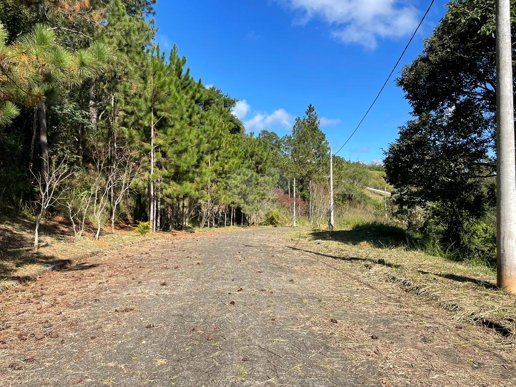 Venda Terreno Mairiporã Palmeiras REO1012773 10