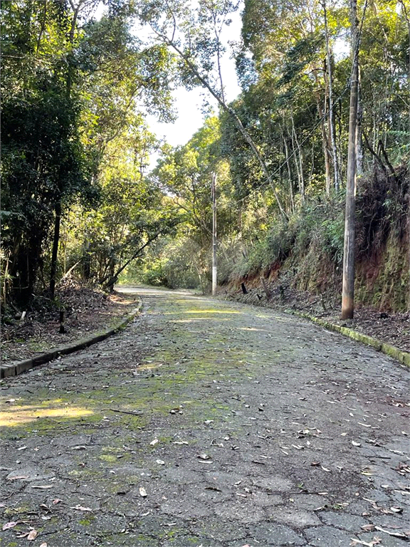 Venda Terreno Mairiporã Palmeiras REO1012773 6