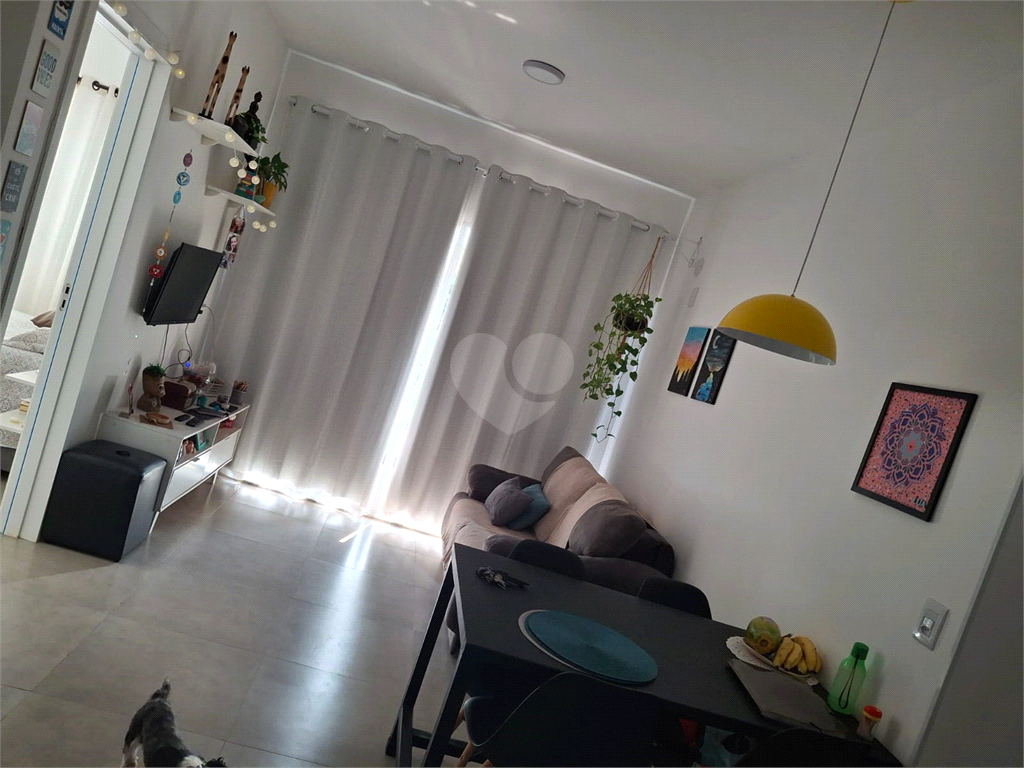 Venda Apartamento São Carlos Jardim Bandeirantes REO1012851 18