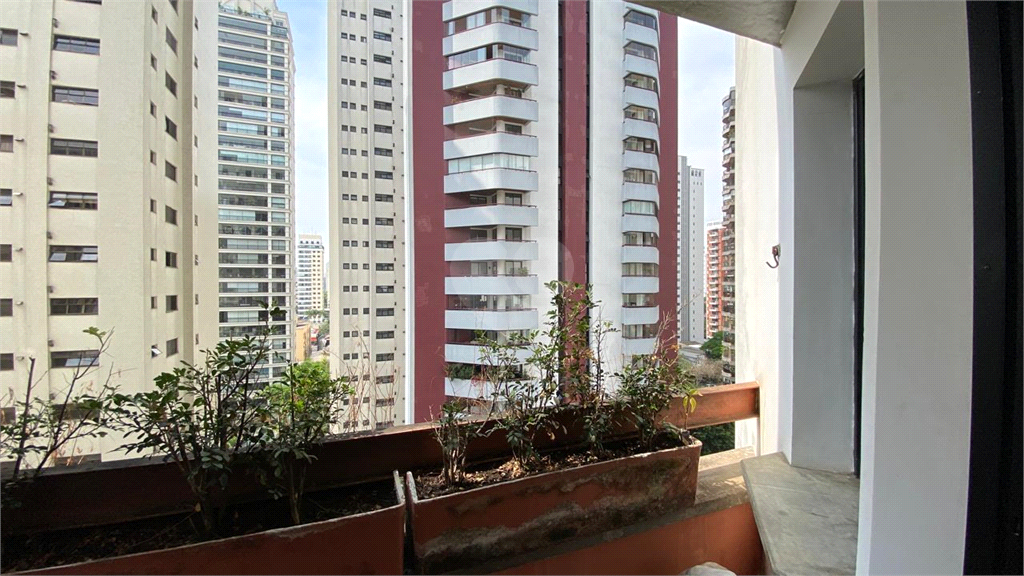 Venda Apartamento São Paulo Planalto Paulista REO1013252 13