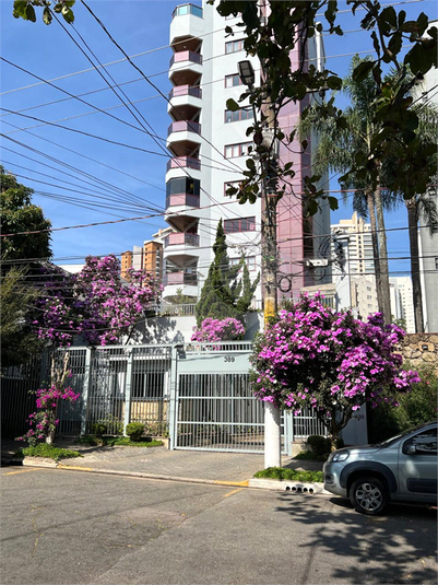 Foto REO1013325