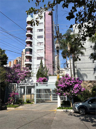 Foto REO1013325