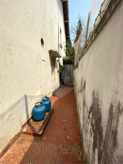 Foto REO1013345