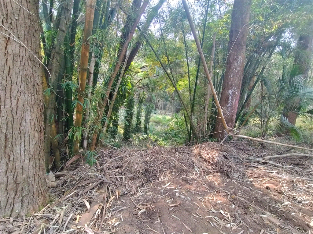 Venda Sítio Atibaia Ponte Alta REO1013670 16