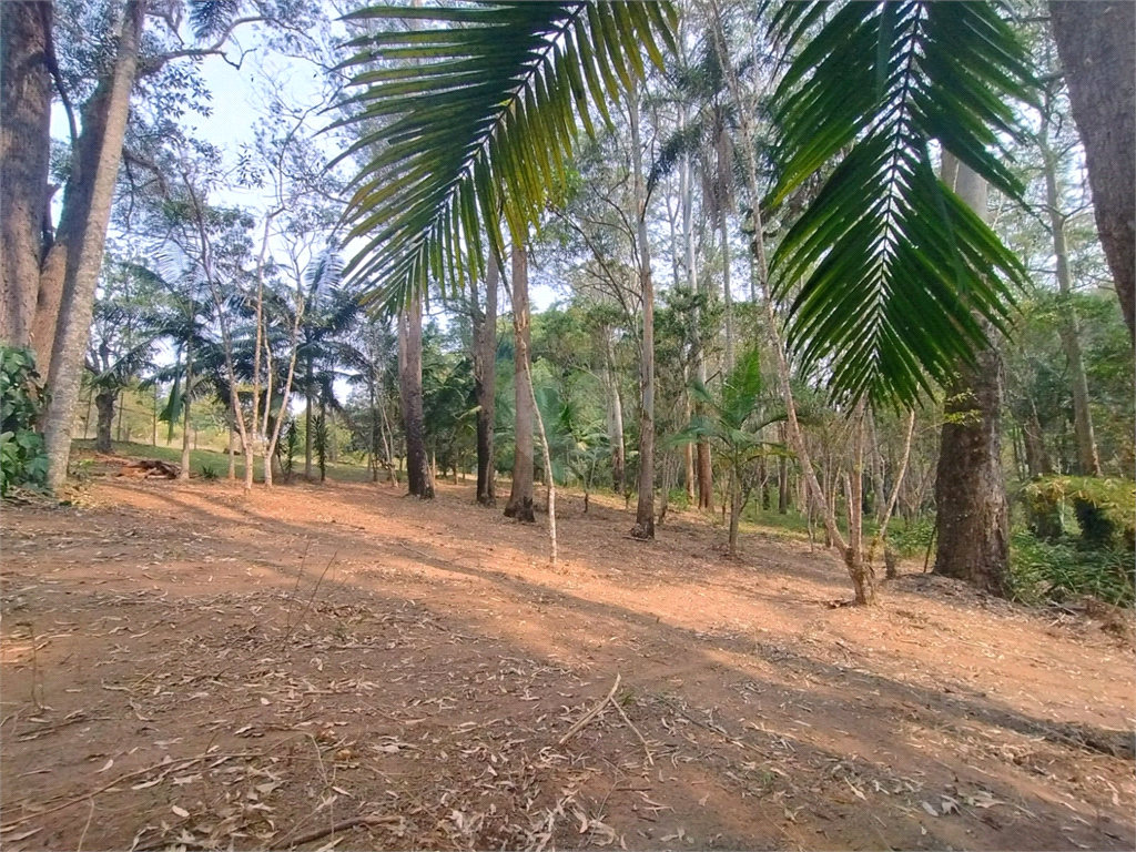 Venda Sítio Atibaia Ponte Alta REO1013670 18