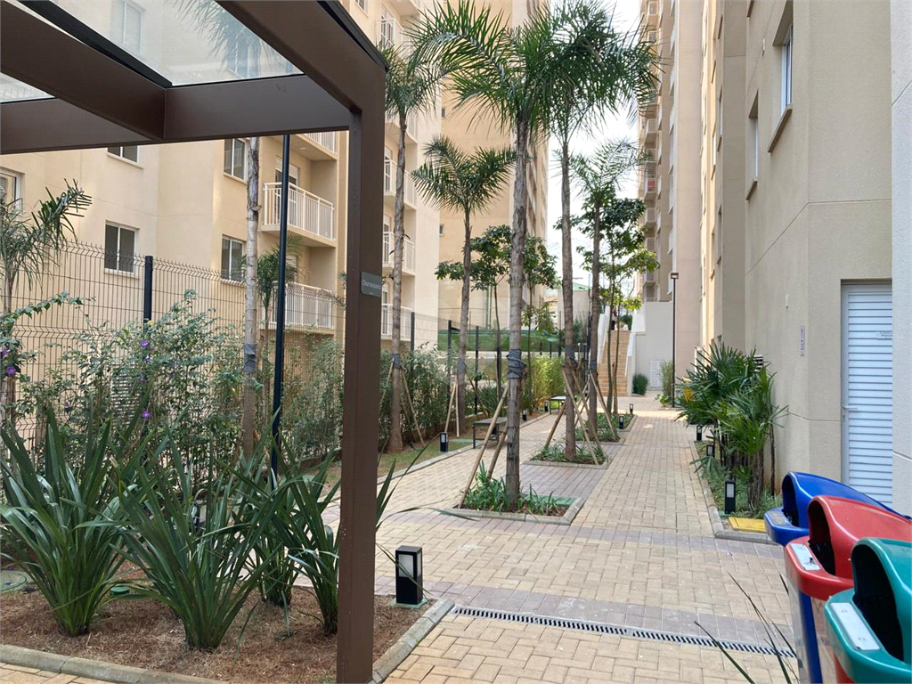 Aluguel Apartamento São Paulo Vila Ema REO1013839 22