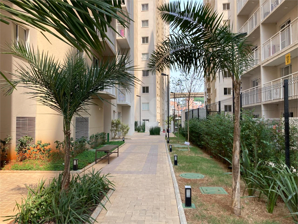 Aluguel Apartamento São Paulo Vila Ema REO1013839 55