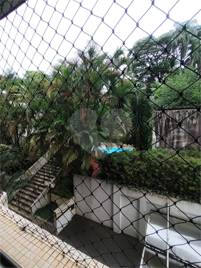 Foto REO1013866