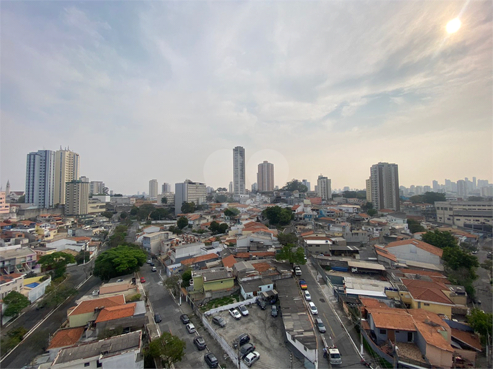 Foto REO1013953