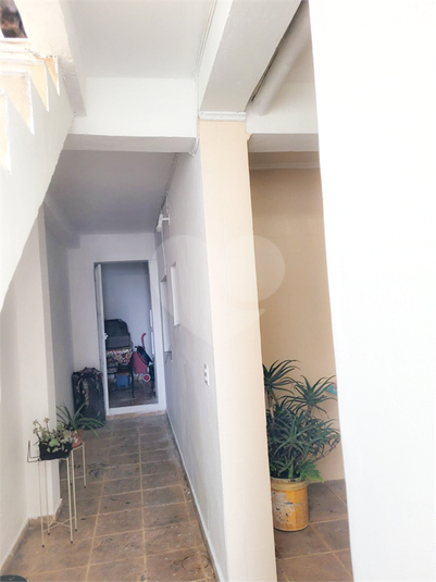 Foto REO101437