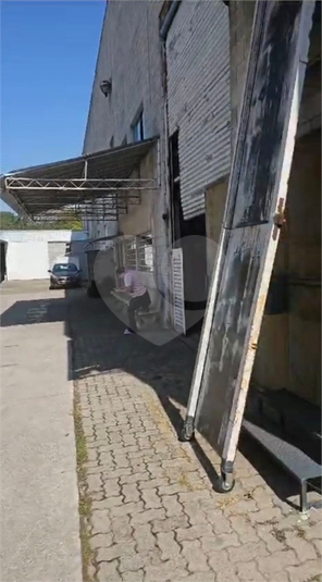 Foto REO1014490
