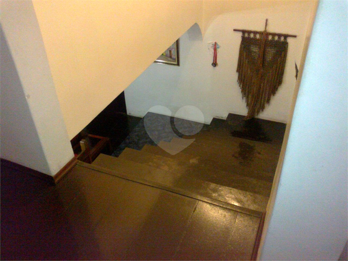 Foto REO1014499