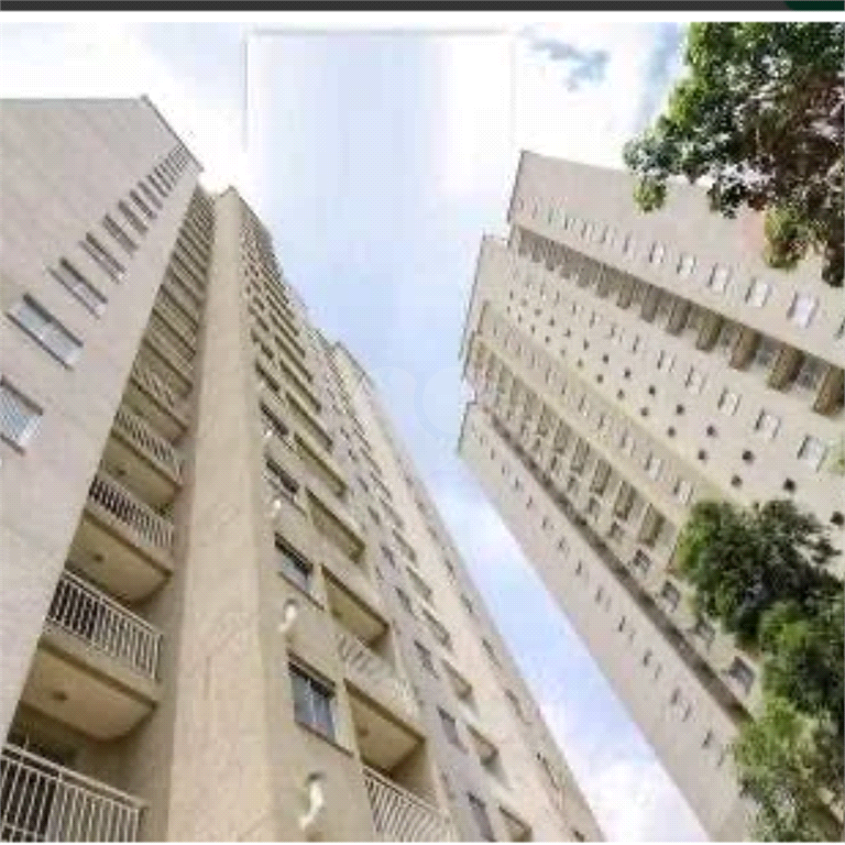 Venda Apartamento São Paulo Jardim Íris REO1014573 19