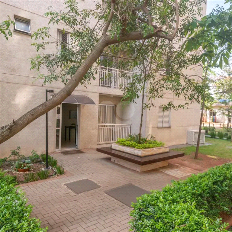 Venda Apartamento São Paulo Jardim Íris REO1014573 21