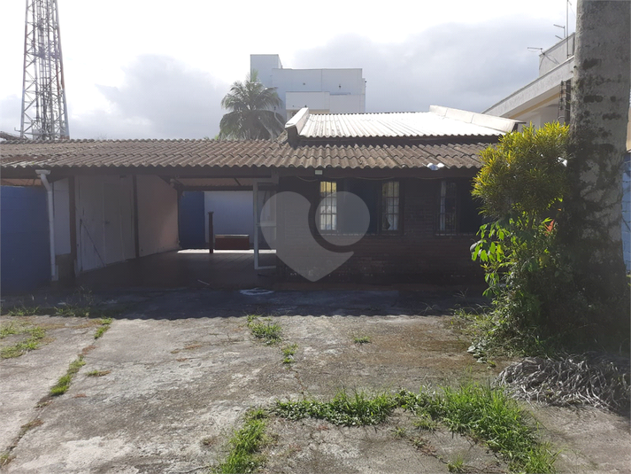Foto REO1014606