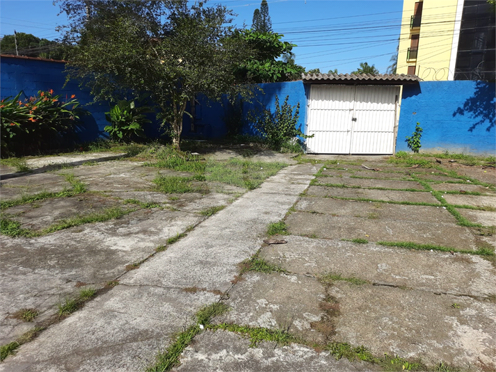 Foto REO1014606