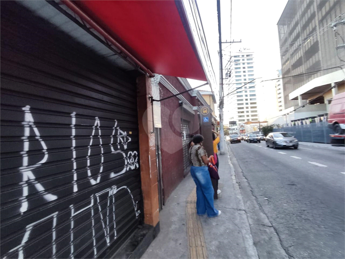 Foto REO1014694