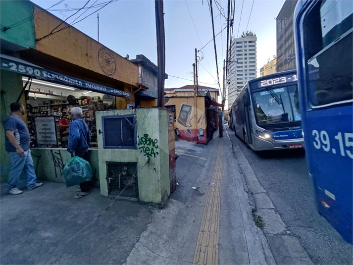 Foto REO1014694