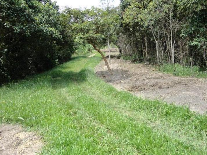 Venda Terreno Santana De Parnaíba Terras De San Nicolau REO101493 18