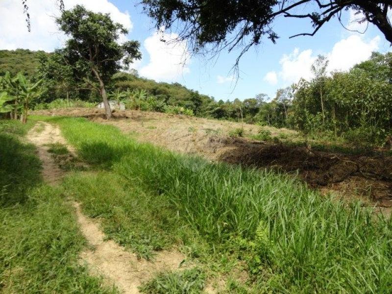 Venda Terreno Santana De Parnaíba Terras De San Nicolau REO101493 21