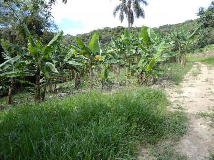 Venda Terreno Santana De Parnaíba Terras De San Nicolau REO101493 23