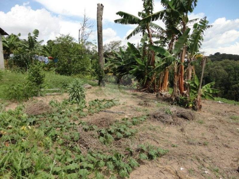 Venda Terreno Santana De Parnaíba Terras De San Nicolau REO101493 26