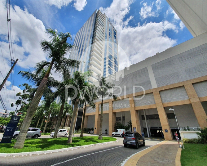 Foto REO1015037