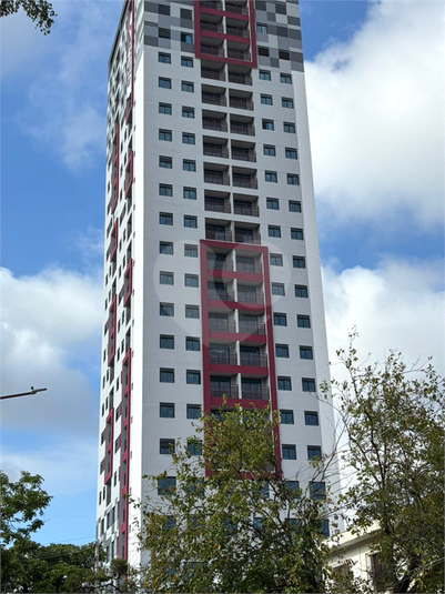 Foto REO1015064