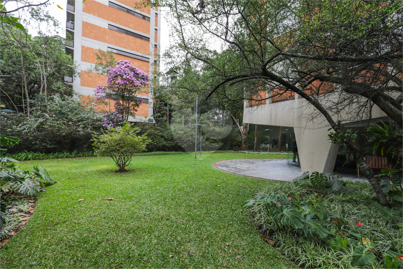 Foto REO1015522