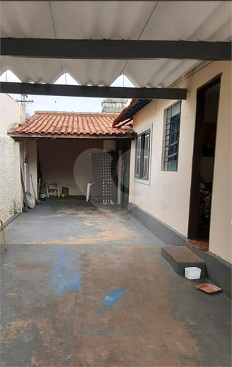 Foto REO1015933
