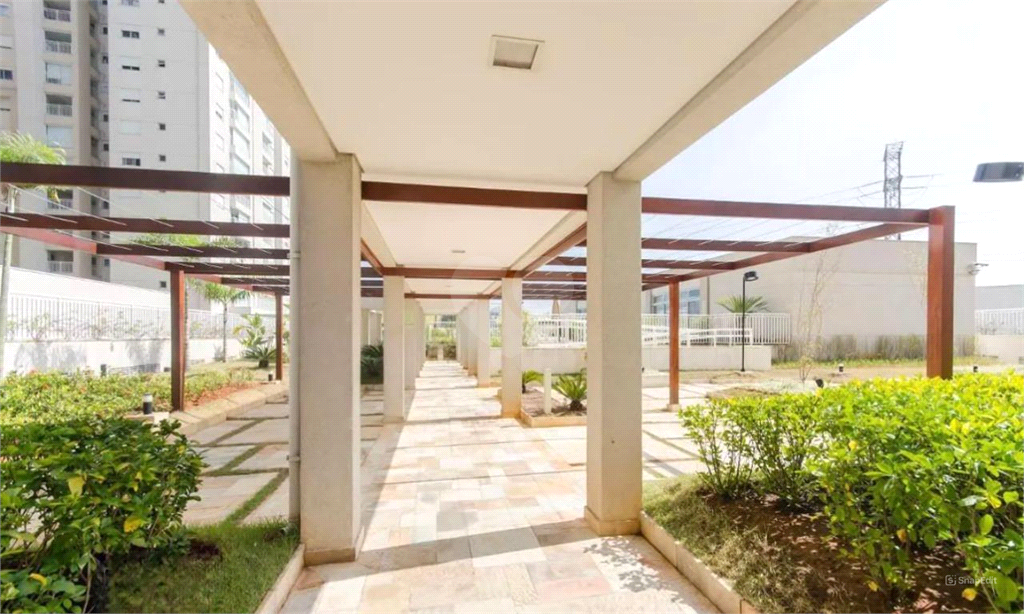 Venda Apartamento São Paulo Várzea Da Barra Funda REO1016392 18