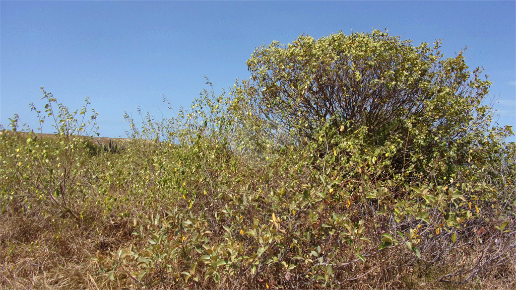 Venda Terreno Aquiraz Porto Das Dunas REO1016456 3