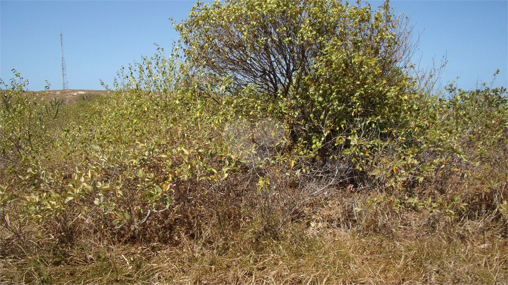 Venda Terreno Aquiraz Porto Das Dunas REO1016456 1