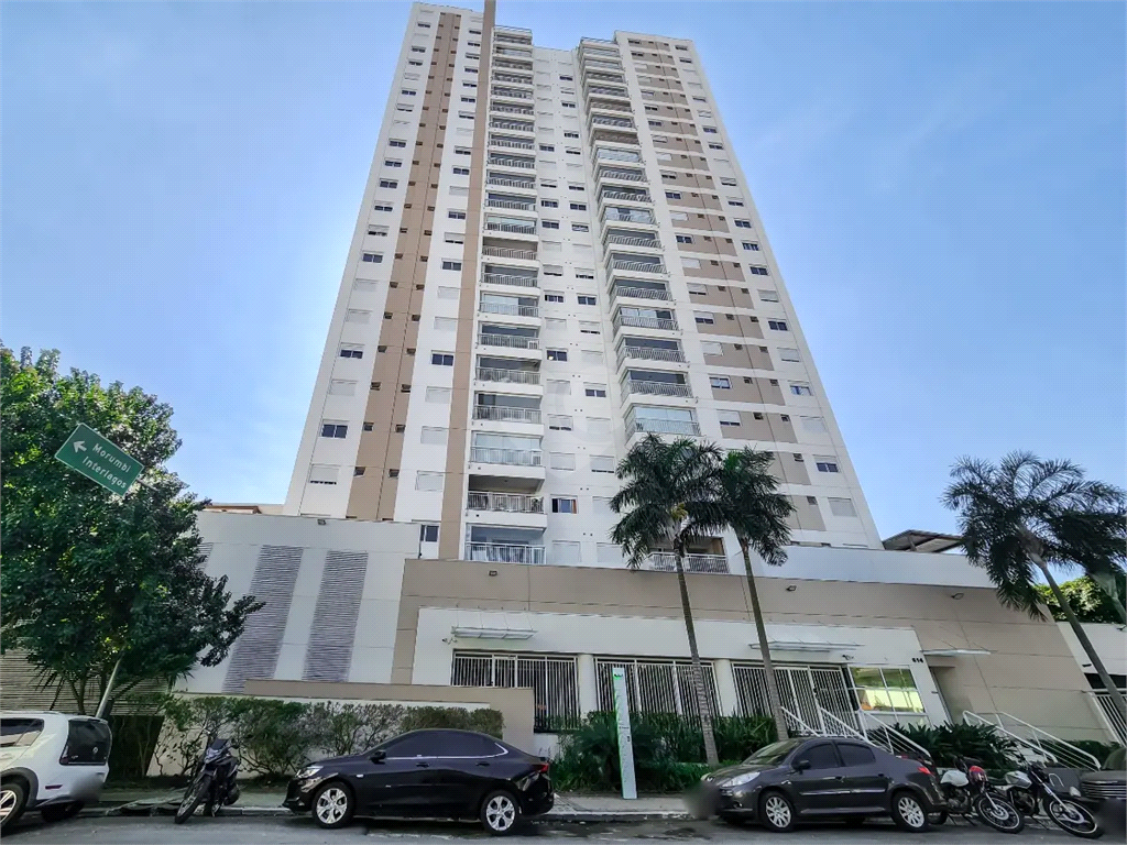 Venda Apartamento São Paulo Vila Cordeiro REO1016536 16