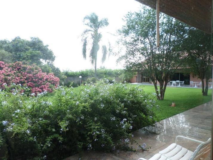 Foto REO101667