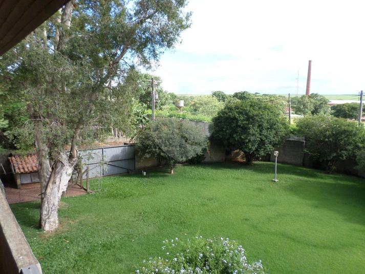 Foto REO101667