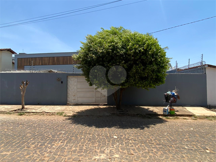 Foto REO1016716