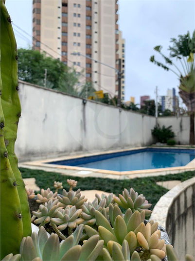 Venda Casa São Paulo Jardim Avelino REO101674 50