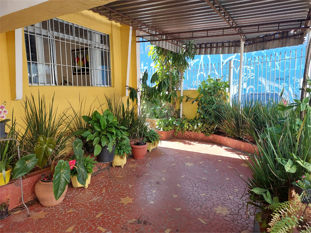 Venda Casa São Paulo Vila Guaca REO1016856 1