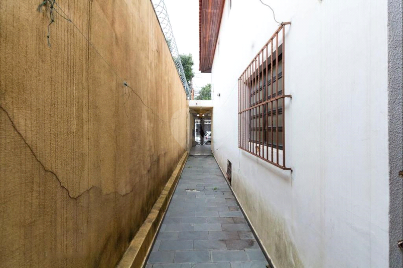Foto REO101699
