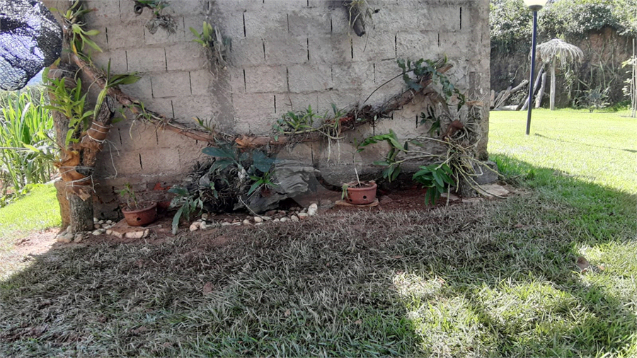 Foto REO1017408