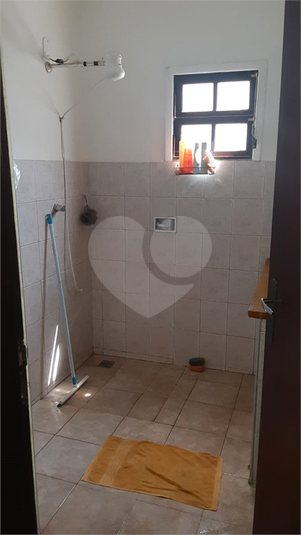 Foto REO1017408