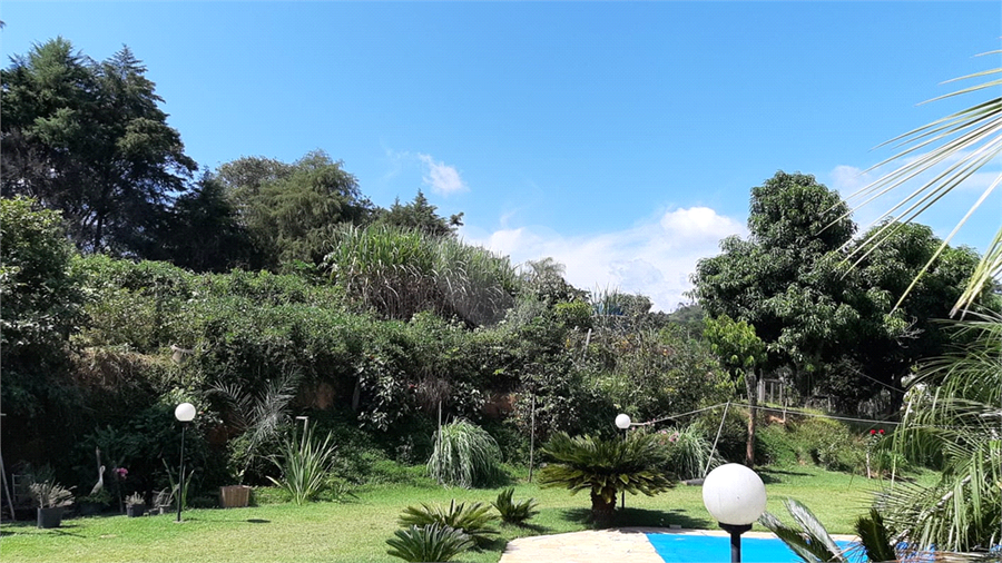 Foto REO1017408