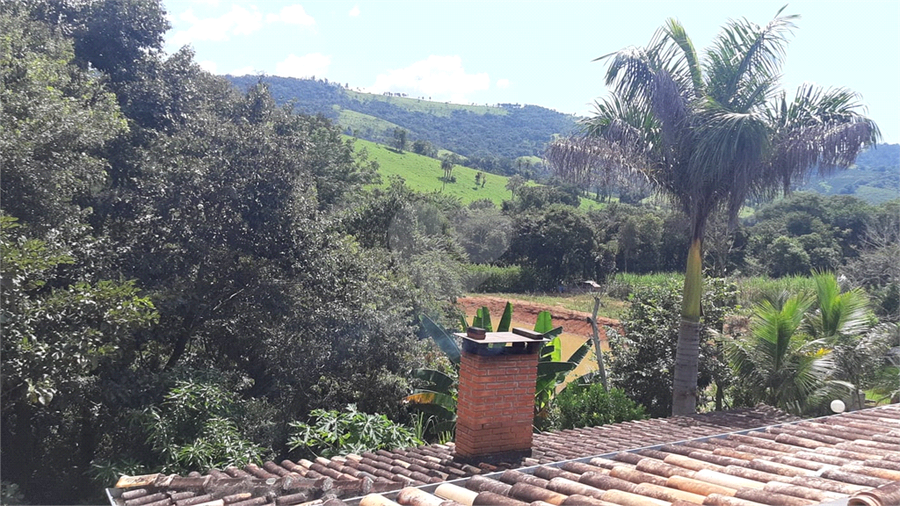 Foto REO1017408
